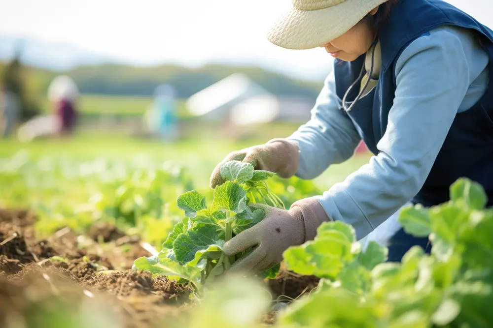 地産地消の推進